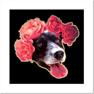 Border Collie with Flowers Posters and Art